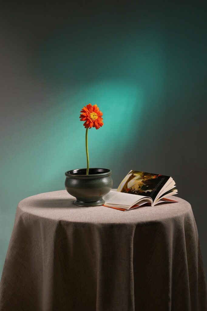 flowers, decor, gerbera, flower background, nature, vase, flower wallpaper, flower vase, interior design, beautiful flowers, book
