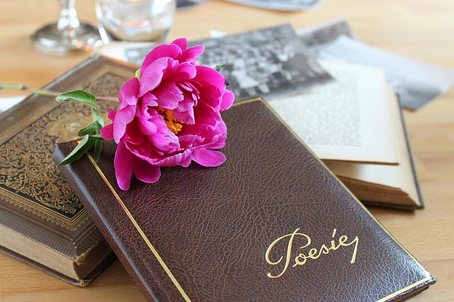 poetry album, a book, leather, old, flower background, formerly, beautiful flowers, nostalgia, flower wallpaper, memories, transience, poetry, nature, book stack, read, write, school class, still life, flower, peony, at that time, peonies