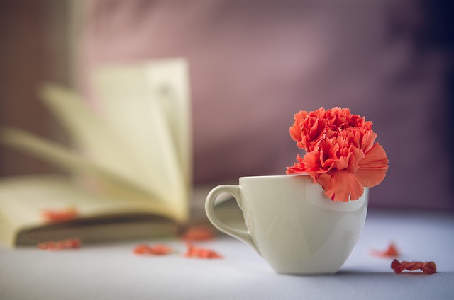 flower, red, peace, calm, relaxation, read, time, calmness, silent, flower wallpaper, book, relax, pause, beautiful flowers, little cup, tea, romantic, vintage, flower background, nature, morning, it's your time, cappuccino, coffee, breakfast
